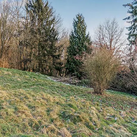 Spacious With Garden Koblenz (Rhineland-Palatinate)