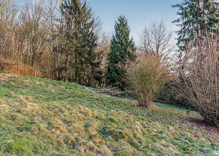 Spacious With Garden Koblenz (Rhineland-Palatinate)